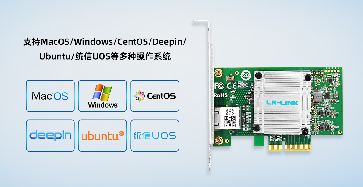 10G单电口网卡
